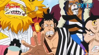 luffy là thuyền trưởng làm việc nhanh gọn lẹ