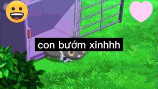 Con bướm xinh, con bướm đa tình