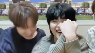 狗猫教永存！【恋爱至上主义区域】