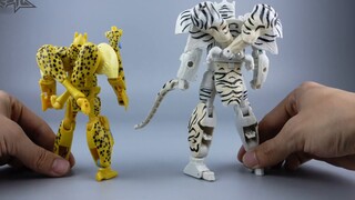 [Transformers change shapes at any time] New and old, White Tiger Warrior! Kingdom Series White Tige