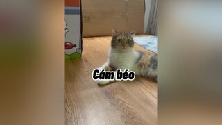 Thôi ăn có sức chuẩn bị mẹ mang đi triệt sản Cám nhé 😂😂