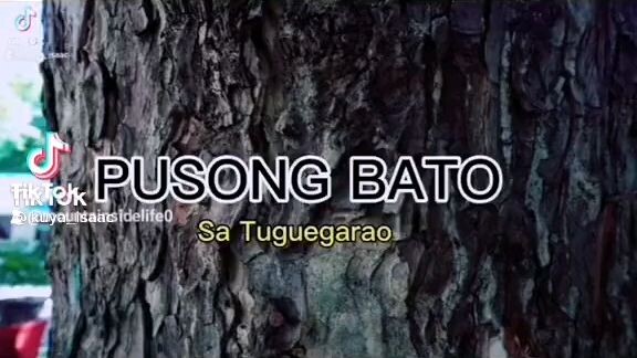 PUSONG BATO million Views and like on tiktok #Credit to the owner