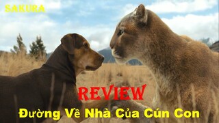 REVIEW PHIM ĐƯỜNG VỀ NHÀ CỦA CÚN CON || A DOGS WAY HOME || SAKURA REVIEW