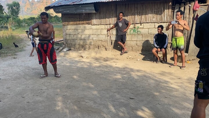 Dayo serye, bulik win, malaki kalaban