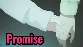 Promise