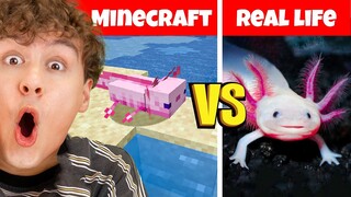 MINECRAFT vs REALLIFE (AXOLOTL)