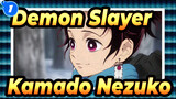 [Demon Slayer] "Kamado Nezuko, Please Wake Up…Or Your Brother Will Die…"_1