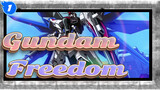Gundam-Freedom_C1