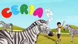 CERIA - Belajar Tentang Hewan: Zebra