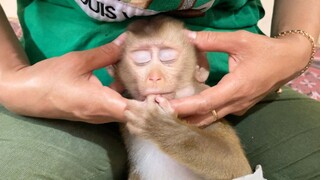 Mom Do Head Massage For Lion To Sleep