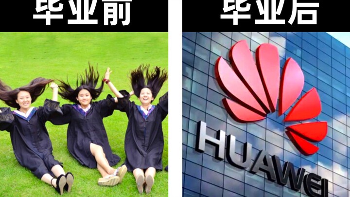 IT企业喜欢招哪些专业的学生？