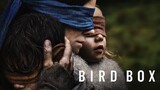 Bird Box (2018) [Horror/Sci-fi]