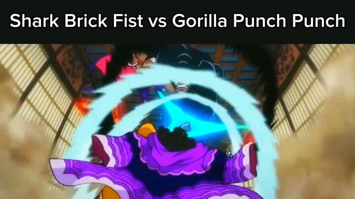 Jinbei Shark Brick Fist vs Gorilla Punch 😮