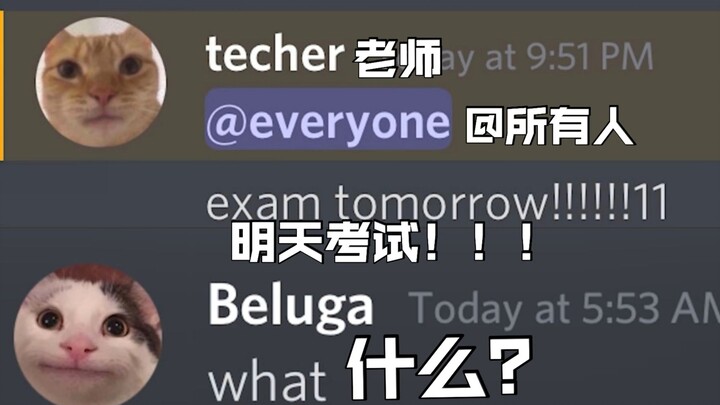 当你明天就要考试时......