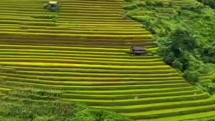 tây bắc