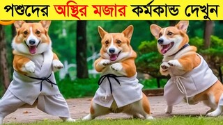 পশুদের মজার কর্মকান্ড ক্যামেরায় ধরা পড়া | Funny Animals Video 2023 (Part-25) | mayajaal