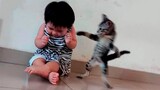 New Funniest Cats And Dogs Videos 😁 Best Of The 2023 Funny Animal Videos 😁 - Cutest Animals Ever
