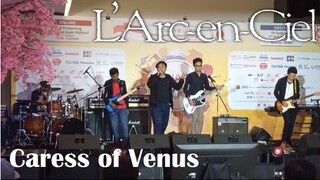 L'Arc~en~Ciel  - Caress of Venus | tribute cover Jak Japan Matsuri 2022 FX Sudirman