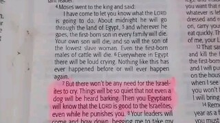 Daily Verse.                  Exodus 11:4-8