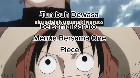 menua bersama one piece