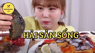 [Mukbang TV] - Hải sản sống