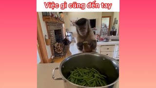 Việc gì cũng đến tay