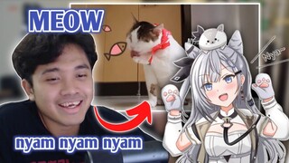 bang al niruin zeta ngedubbing kucing