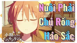 Nuôi Phải Chú Rồng Háo Sắc