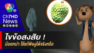 ไขข้อสงสัย ! น้อยหน่า ใช้แก้พิษงูได้จริงหรือ | จุ้นจ้าน เรื่องชาวบ้าน