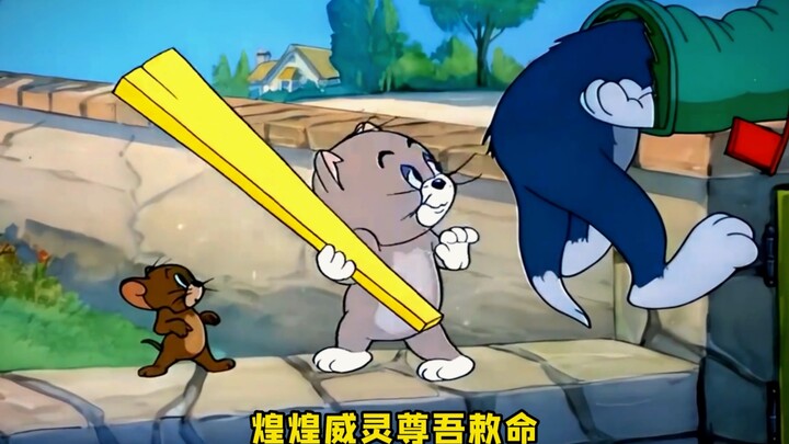 Đường sắt Star Dome (x) Tom và Jerry ()