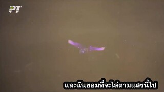 Fights Break Sphere 5 ศึกรบทะลุสวรรค์ ภาค 5 EP 10 [ซับไทย]