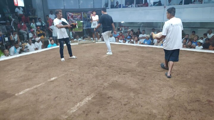 White Gold WIN @ Cardona Cockpit Arena