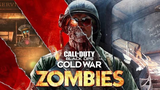 Call of Duty- Zombie
