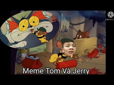 [YTP] Meme Tom Và Jerry Bản Yang Hồ