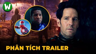 Giải Mã Trailer Ant-Man and The Wasp: Quantumania | Kang và Thế Giới Lượng Tử