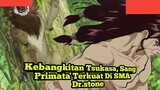 Kebangkitan Tsukasa, Sang Primata Terkuat Di SMA Dr.stone