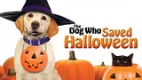The Dog Who Saved Halloween - บิ๊กโฮ่ง ซูเปอร์หมา ป่วนฮาโลวีน (2011)