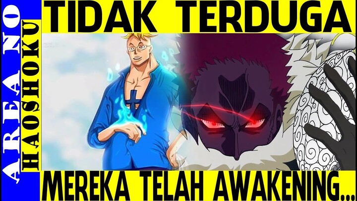 Gila, Inilah 11 Karakter yang Telah Awakening Buah Iblisnya ( One Piece )