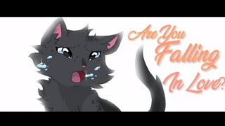 Are You Falling in Love? - Cinderpaw Animation Meme (read description!)