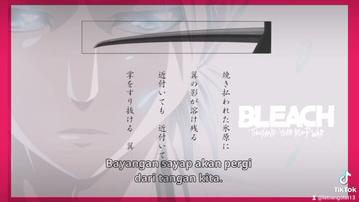 Scene Puisi Hitsugaya//Ending, Bleach Thousand Year Blood War// Episode 3rd - Parade Starcross