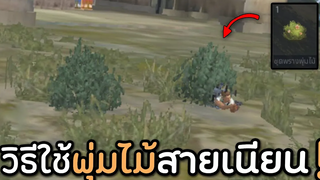 วิธีใช้พุ่มไม้ยังไงให้เนียน ⁉ (ไอเทมตกยุค)