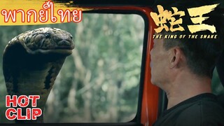 Clip | พากย์ไทย | บังเอิญเจองู และโดนงูตามตลอดทาง | ราชางู (The King of The snake) | แอคชั่น ผจญภัย