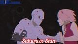 Sakura vs Shin