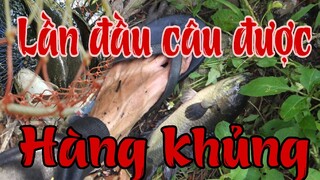 Câu cá ao hoang dính cá khủng