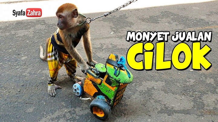 LUCU Topeng Monyet Jualan Cilok - Funny Monkey