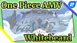 Cảm nhận sự dịu dàng và bá đạo của Bố Già! | One Piece Whitebeard_2