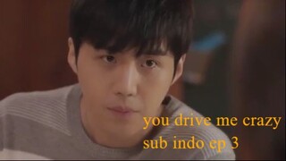 you drive me crazy sub indo ep 3