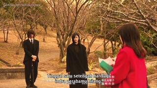 kimi ga kokoro e7