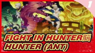 Epic clips of the unwanted fight! | Hunter×Hunter (Ant) 