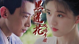 黑莲花攻略手册第十七集|白敬亭×赵露思